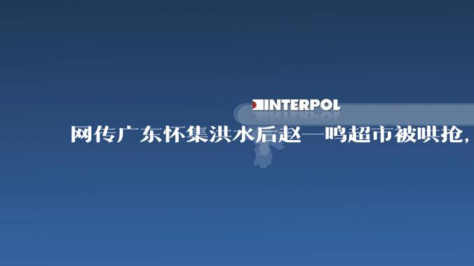 网传广东怀集洪水后赵一鸣超市被哄抢，县***回应相关单位正在核实，若属实哄抢者该承担哪些法律责任？